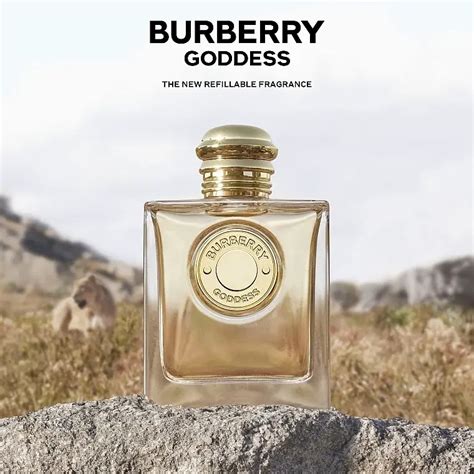 burberry new fragrance 2022|Burberry goddess perfume boots.